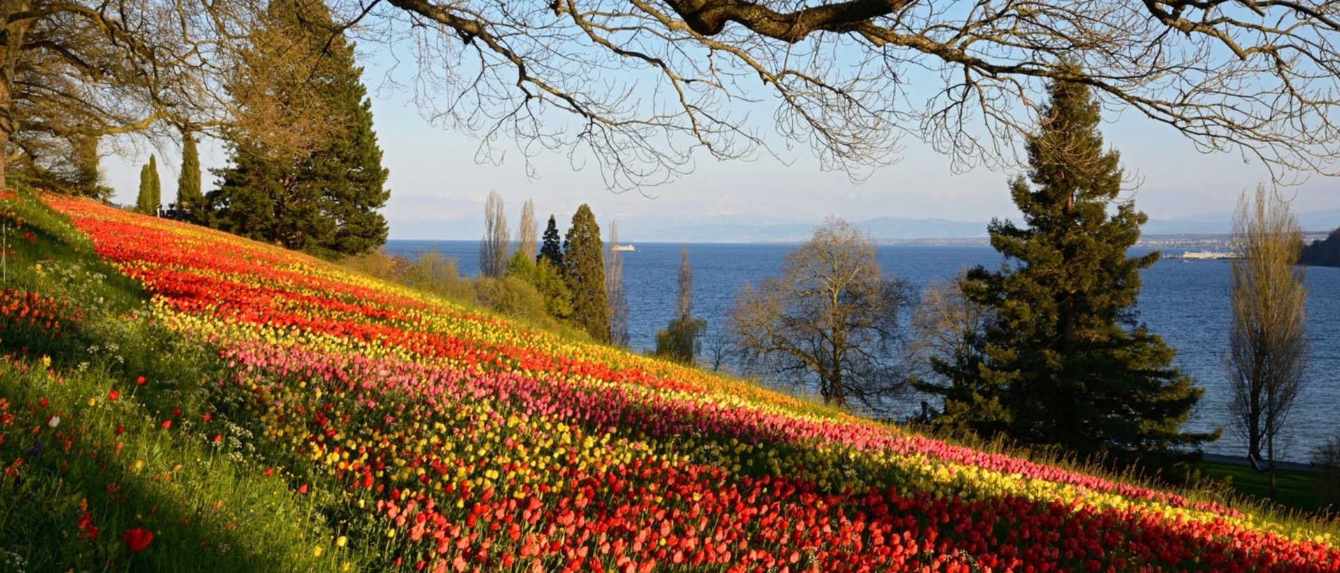 Blumeninsel Mainau Blumeninsel Mainau
