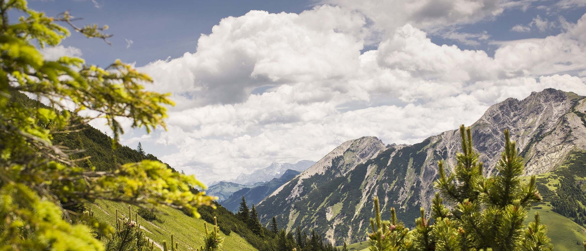Berglandschaft mit grünen Tannen und bewölktem Himmel