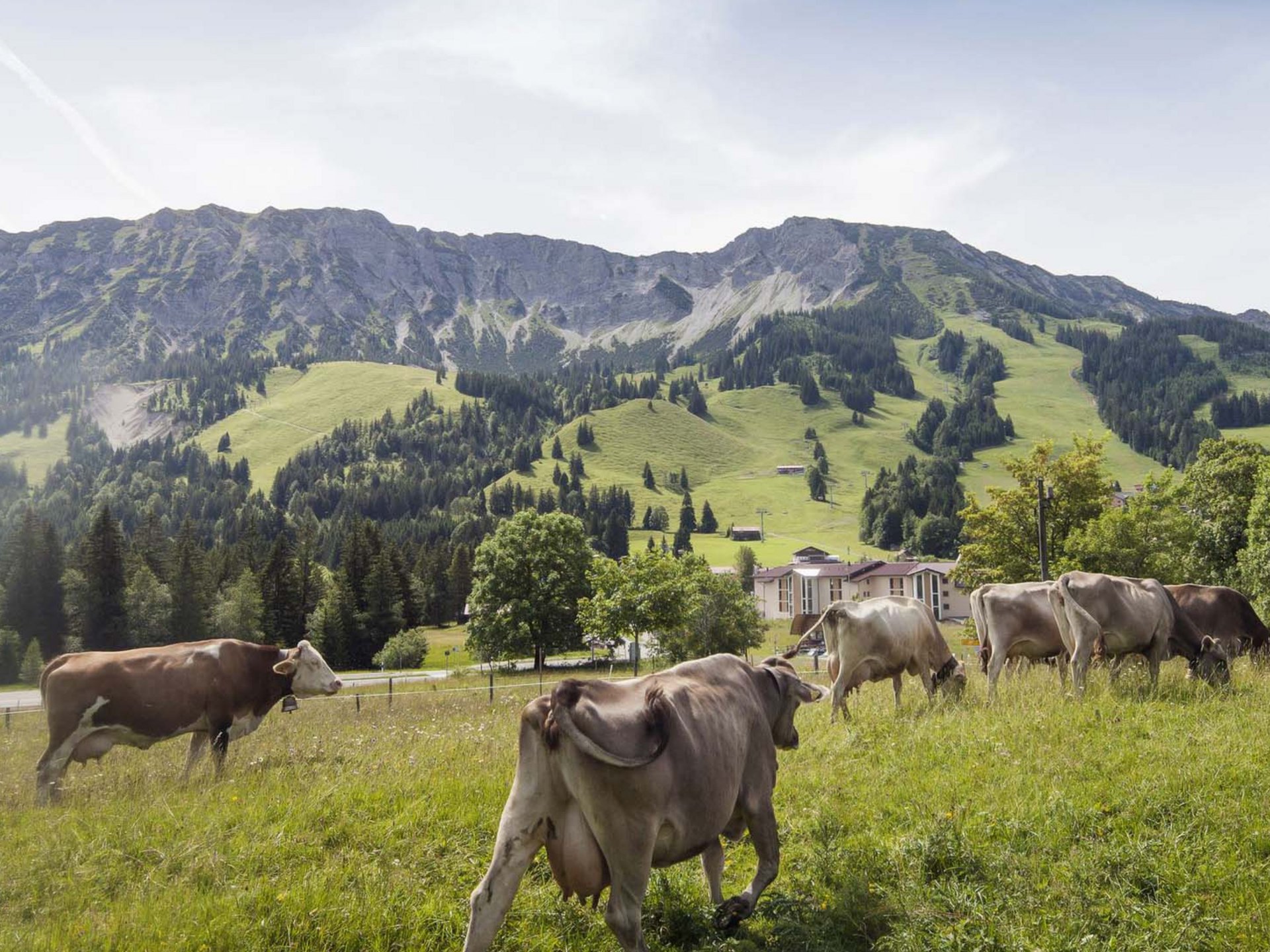 Erlebnisse für Ihren Urlaub im Panoramahotel Oberjoch Erlebnisse für Ihren Urlaub im Panoramahotel Oberjoch