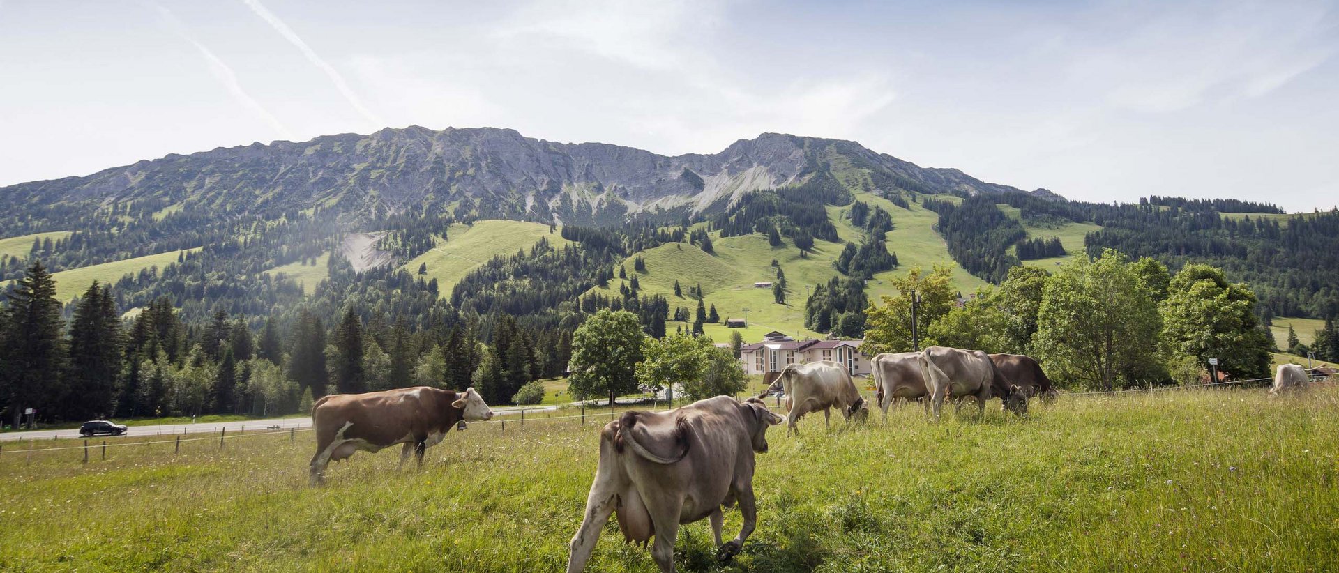 Hotel Das Weitblick Allgäu | Auf Nachhaltigkeit setzen