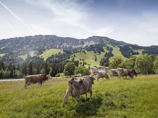 Wellnessurlaub im Allgäu mit vielen Inklusivleistungen Wellnessurlaub im Allgäu mit vielen Inklusivleistungen