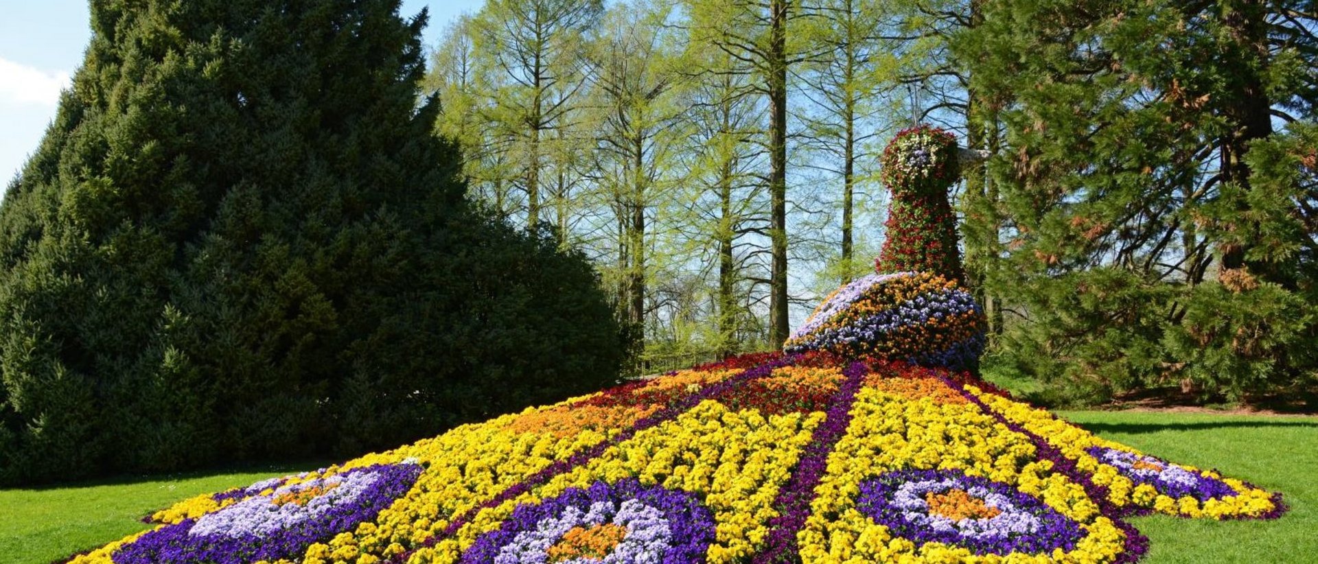 Blumeninsel Mainau Blumeninsel Mainau