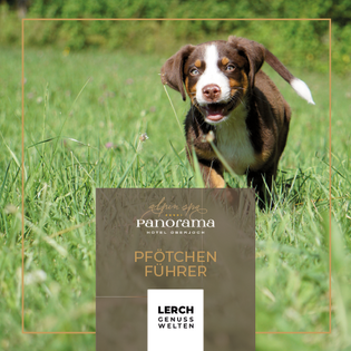 Prospekte für Ihr Wellnesswochenende im Allgäu Prospekte für Ihr Wellnesswochenende im Allgäu