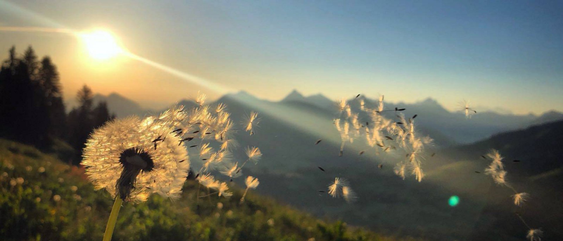 Erlebnisse für Ihren Urlaub im Panoramahotel Oberjoch Erlebnisse für Ihren Urlaub im Panoramahotel Oberjoch