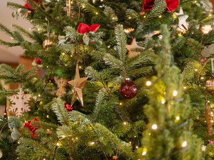 Tagungsangebote und -pauschalen | Panoramahotel Oberjoch Weihnachtsbaum mit roten Kugeln, Sternen und Lichterketten geschmückt