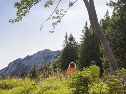 Erlebnisse für Ihren Urlaub im Panoramahotel Oberjoch Erlebnisse für Ihren Urlaub im Panoramahotel Oberjoch