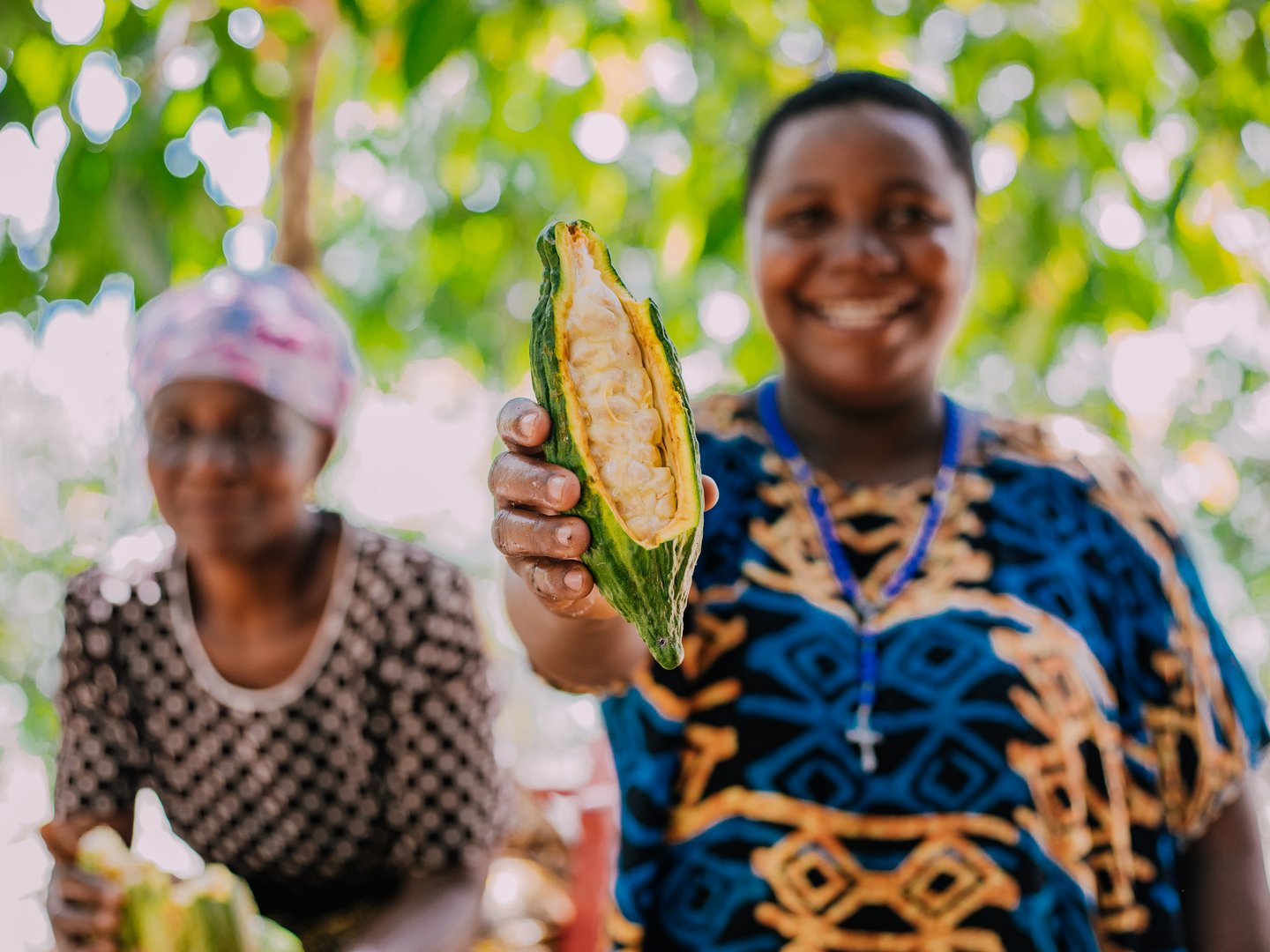 Regionale Lieferanten und Erzeuger Regionale Lieferanten und Erzeuger