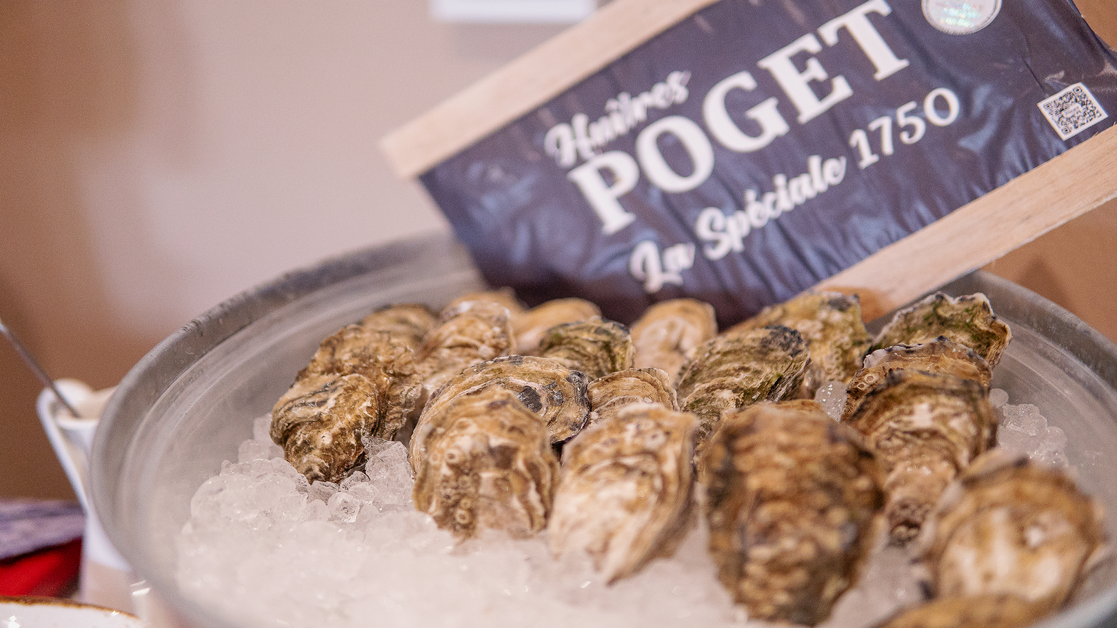 Veranstaltungen Veranstaltungen