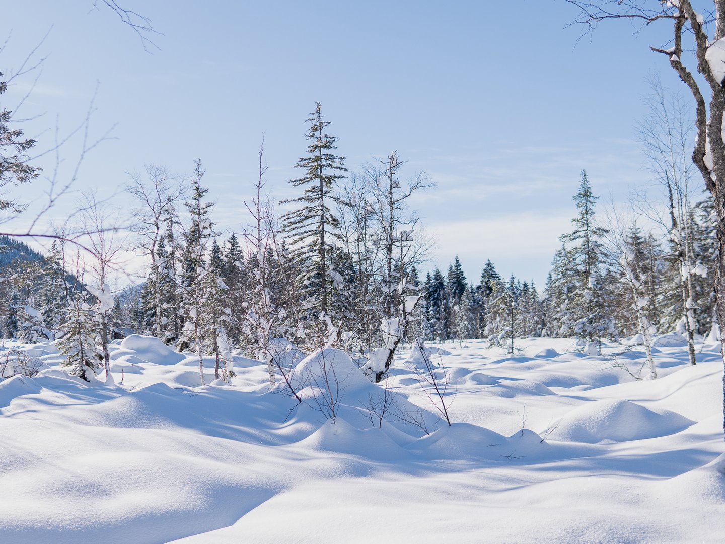 Winterurlaub im Allgäu | Panoramahotel Oberjoch Winterurlaub im Allgäu | Panoramahotel Oberjoch