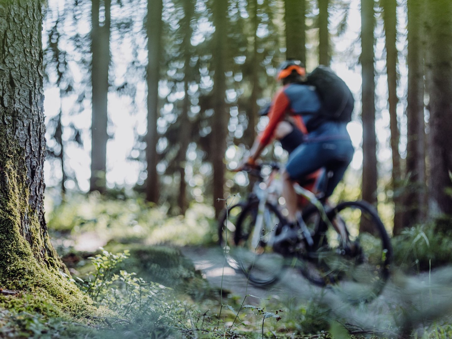 Mountainbike Mountainbike