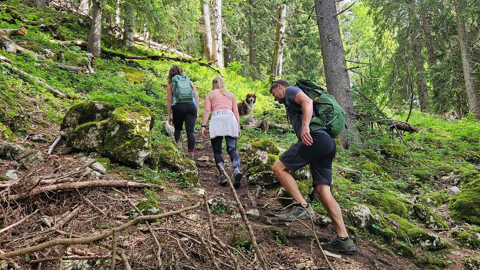 Exklusive Wandertipps von Basti Drei Wanderer mit Rucksack steigen einen bewaldeten, steilen Pfad hinauf