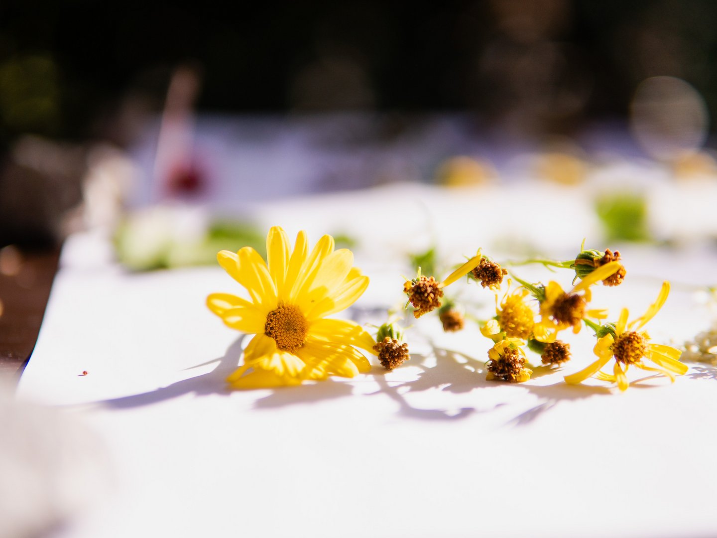 Gruppenevents & Incentives | Panoramahotel Oberjoch Gruppenevents & Incentives | Panoramahotel Oberjoch