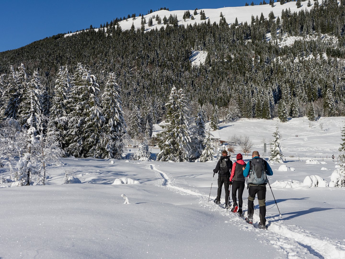 Fitness & Sportangebot | Panoramahotel Oberjoch Fitness & Sportangebot | Panoramahotel Oberjoch