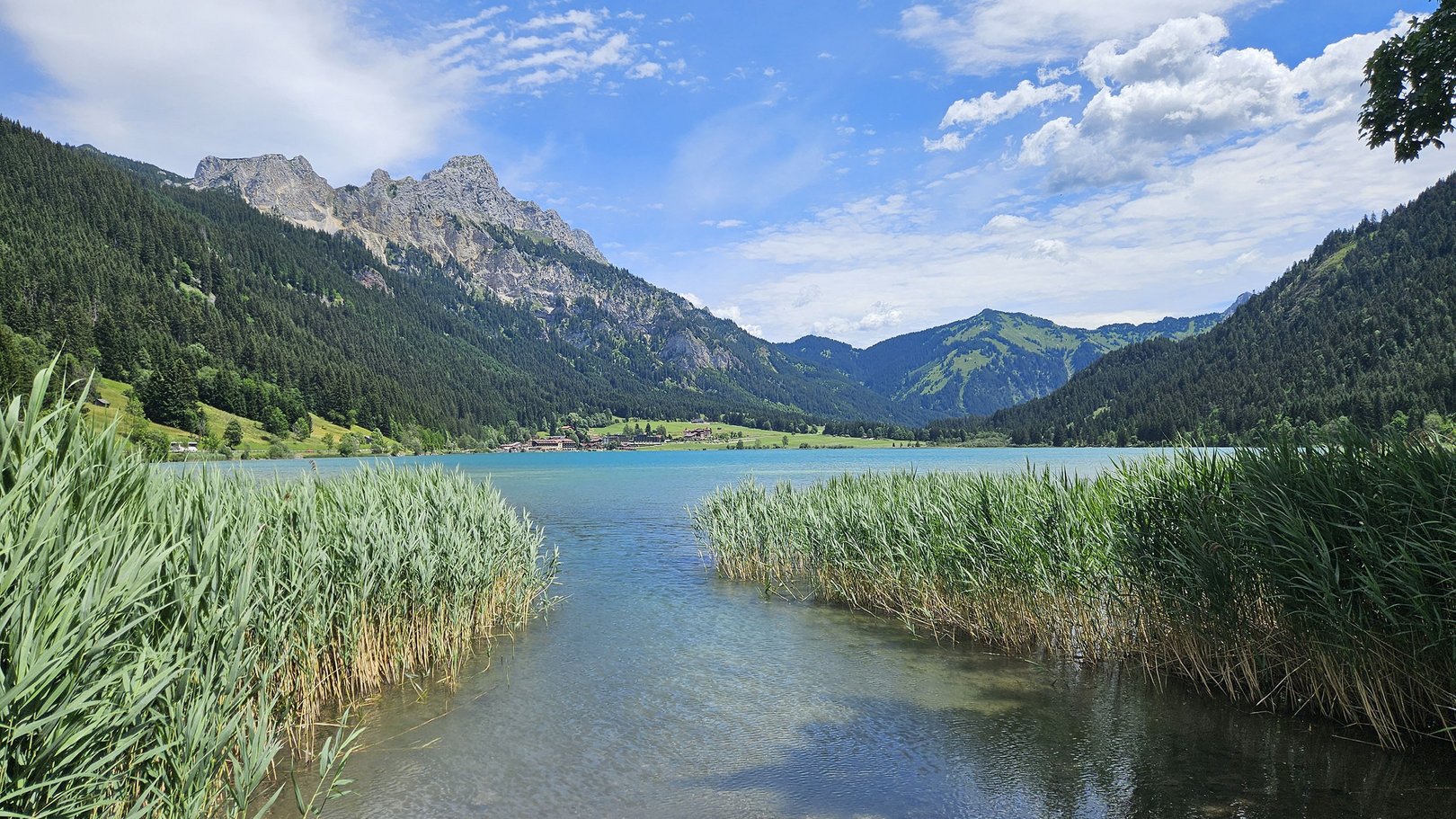 E-Bike Touren rund um Oberjoch Bergsee mit Schilf und bewaldeten Bergen unter blauem Himmel