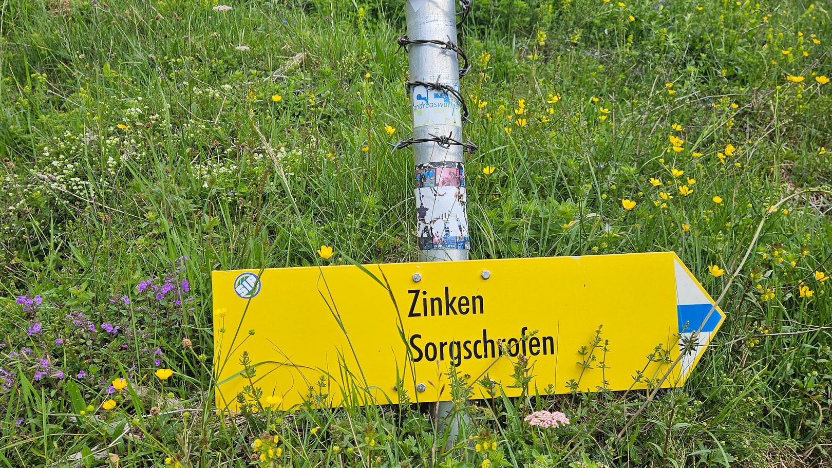 Exklusive Wandertipps von Basti Gelbes Wegweiser-Schild zu Zinken und Sorgschrofen in grüner Wiese