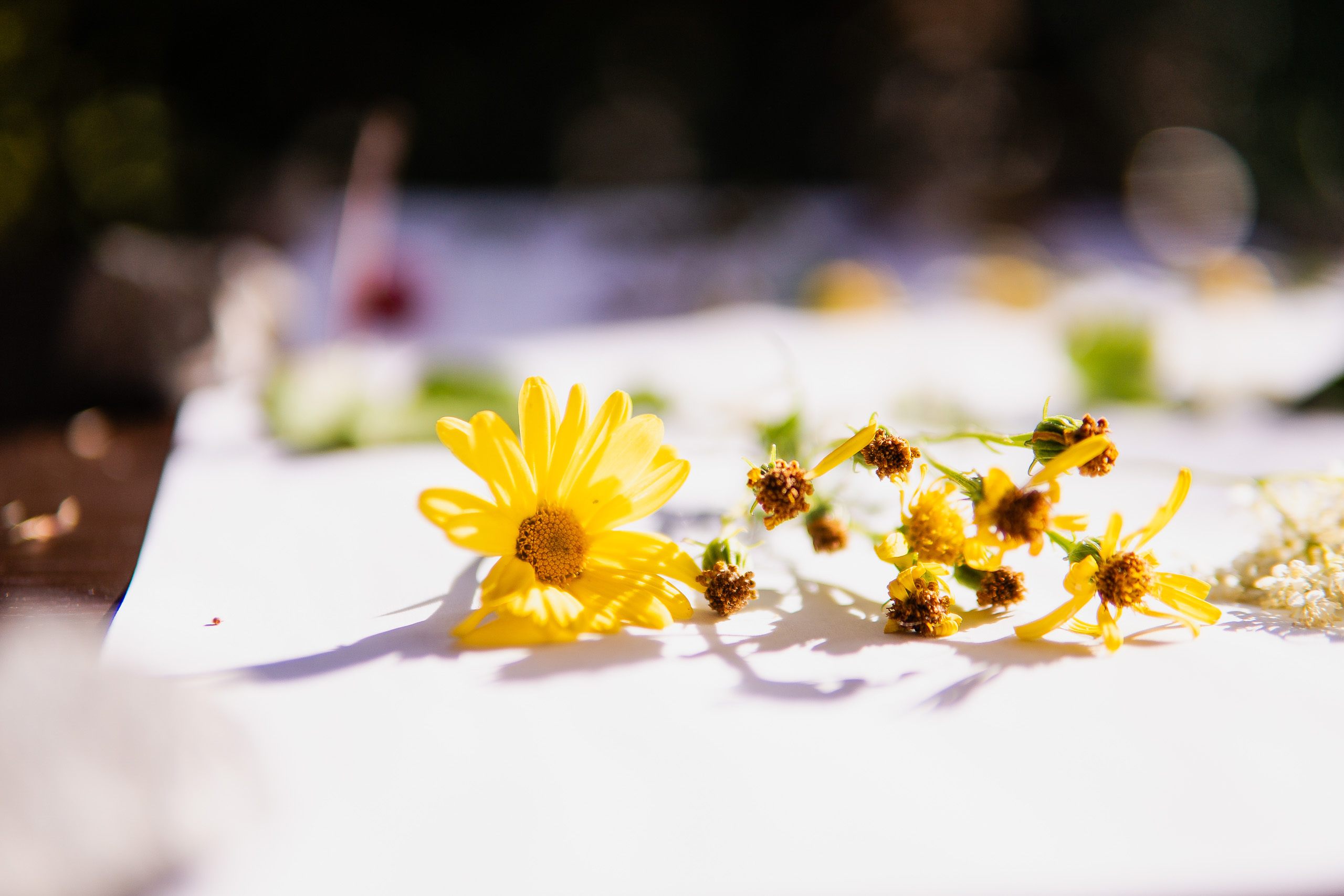 Gruppenevents & Incentives | Panoramahotel Oberjoch Gruppenevents & Incentives | Panoramahotel Oberjoch